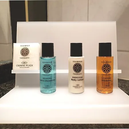 Crowne Plaza By Ihg Μάαστριχτ